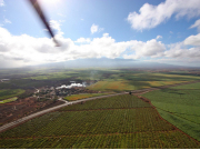 Heli_Field