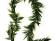 Maile-Style Ti Leaf Lei