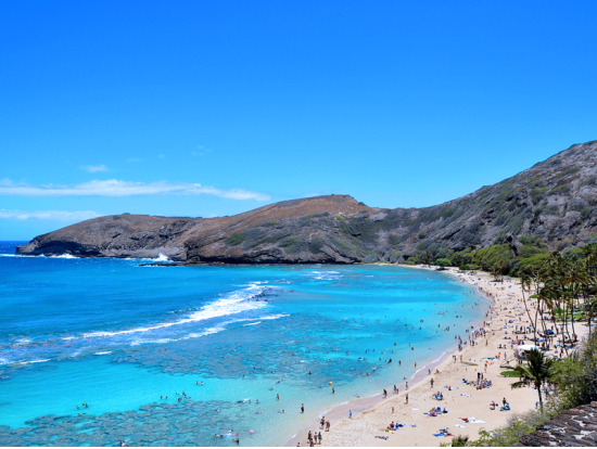 Hanauma Bay Beginner Snorkel Tour With Expert Guide Hanauma Bay Beginner Snorkel Tour With Expert Guide
