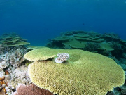 20131005055744_1761229549_10309_0