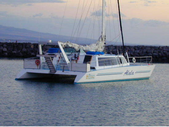 catamaran tour big island private catamaran charter with kohala departure groups catamaran tour big island private catamaran charter with kohala departure groups