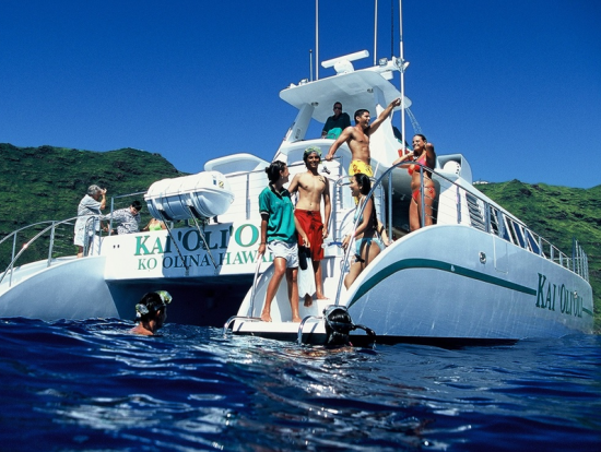 ocean joy catamaran ocean joy dolphin watch snorkel cruise from ko olina ocean joy catamaran ocean joy dolphin watch snorkel cruise from ko olina