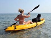 shutterstock_37574389-300x185