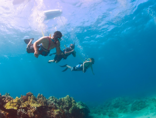 Molokai Adventures Tours Molokai Adventures Tours