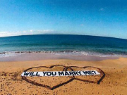 Proposal Beach Flight