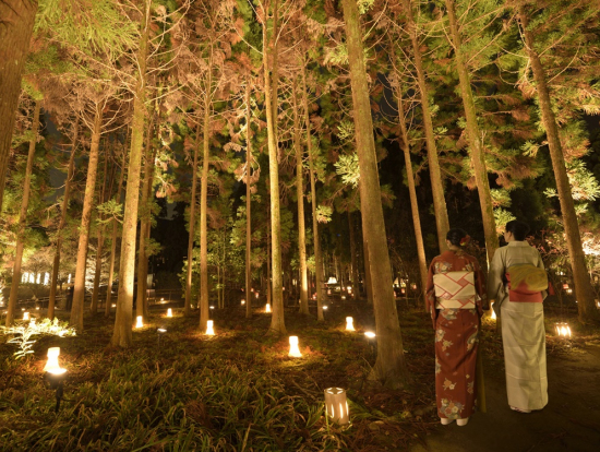初冬之京都风物诗 岚山花灯路 嵯峨野竹林小路 渡月桥 中之岛公园巴士行 晚餐可 京都自由行 当地体验以及各种旅游活动 Veltra
