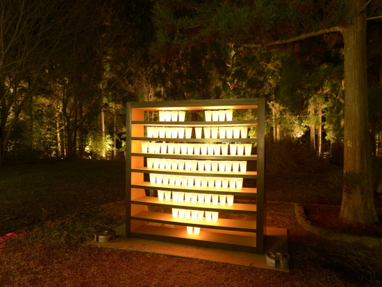 初冬之京都风物诗 岚山花灯路 嵯峨野竹林小路 渡月桥 中之岛公园巴士行 晚餐可 京都自由行 当地体验以及各种旅游活动 Veltra