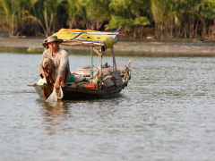 Can Gio Mangrove Forest Tour by Speedboat from Ho Chi Minh, Ho Chi Minh tours & activities, fun things to do in Ho Chi Minh | VELTRA