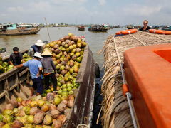 Mekong Delta Full Day Tour by Speedboat from Ho Chi Minh Pier, Ho Chi Minh tours & activities, fun things to do in Ho Chi Minh | VELTRA
