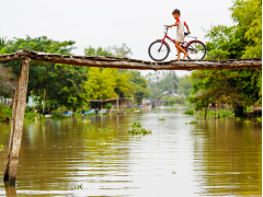 Mekong Delta Speedboat Tour with Private Guide from Ho Chi Minh City, Ho Chi Minh tours & activities, fun things to do in Ho Chi Minh | VELTRA