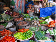 Morning Walking Tour of Hoi An Old Town with Cooking Lessons in English, Da Nang/ Hoi An/ Hue tours & activities, fun things to do in Da Nang/ Hoi An/ Hue | VELTRA