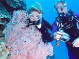 Great Barrier Reef tour