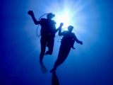 discoverdiving5