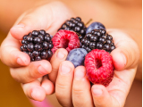 Generic_Berries_pixta_15996123_M