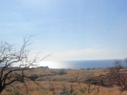Open Plains