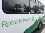 Beautiful and clean bus!